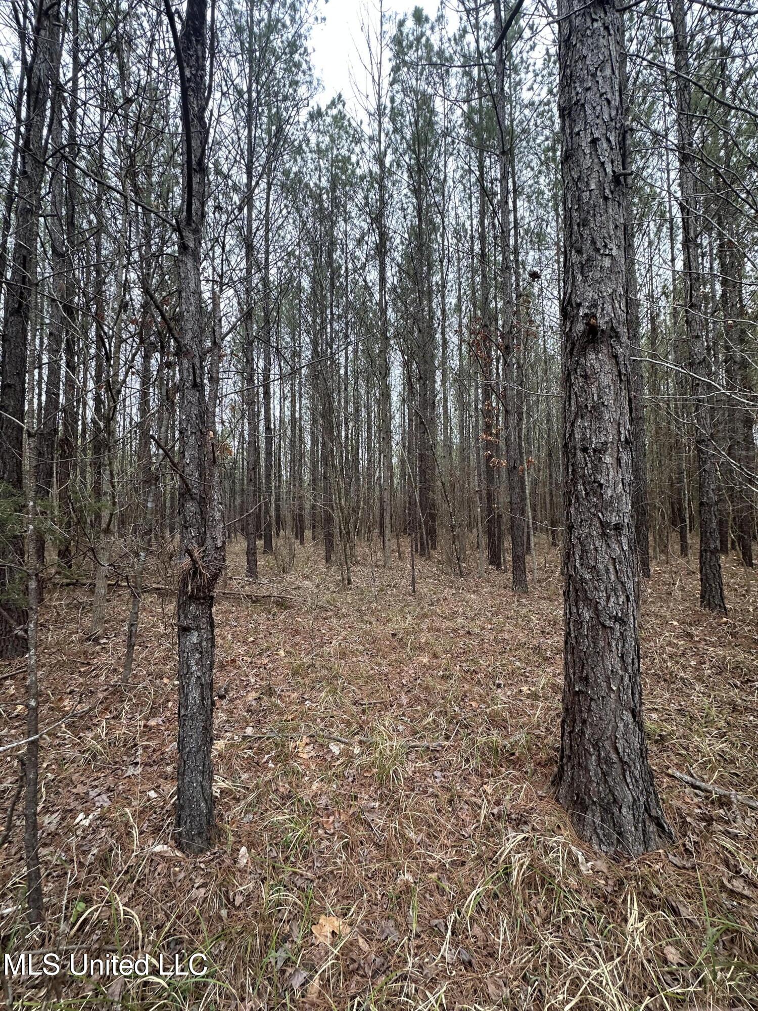 2414 Co Road Newton, MS 39345 - Photo 38 of 51 IMG_3188