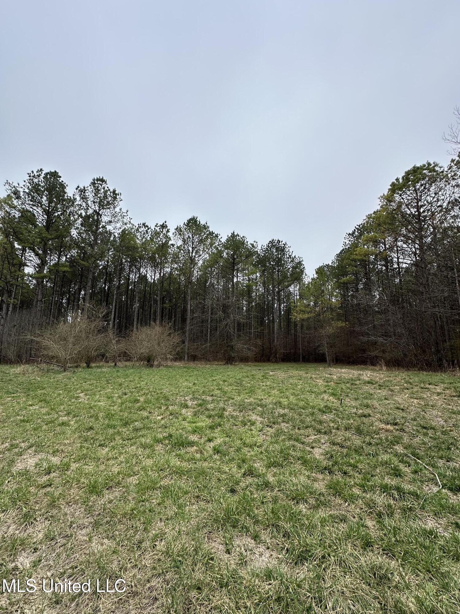 2414 Co Road Newton, MS 39345 - Photo 39 of 51 IMG_3183