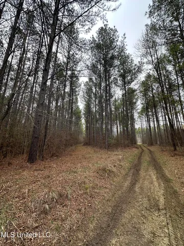 $399,900 | 2414 Co Road, Newton, MS 39345