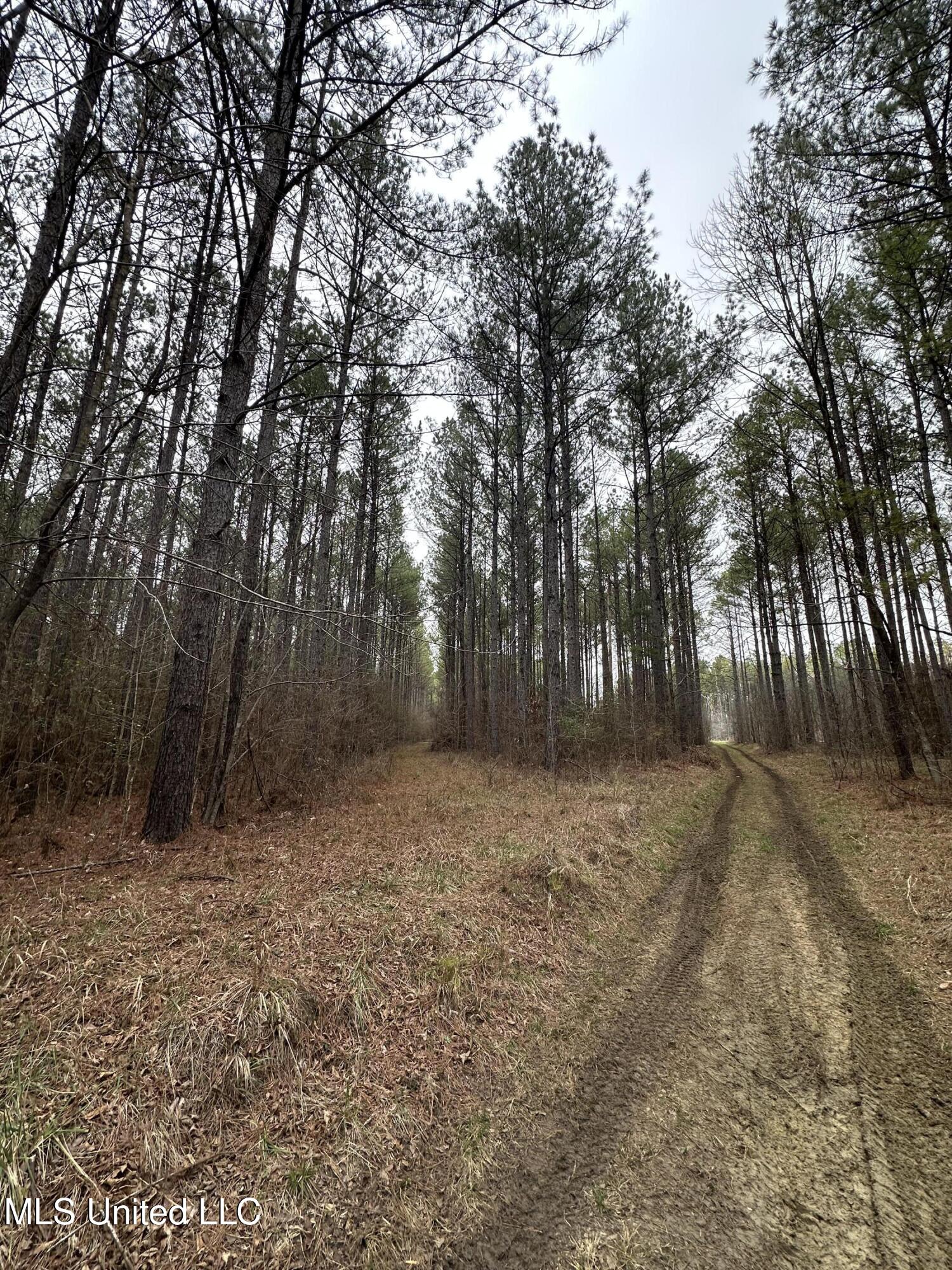 2414 Co Road Newton, MS 39345 - Photo 40 of 51 IMG_3200