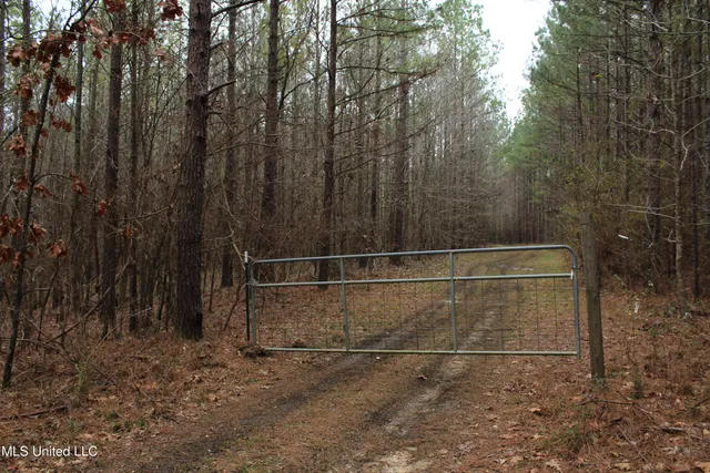 $399,900 | 2414 Co Road, Newton, MS 39345