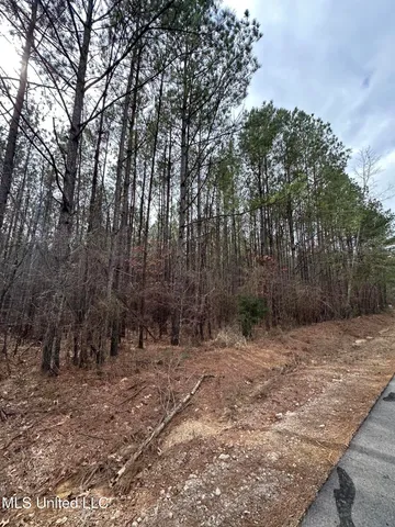 $399,900 | 2414 Co Road, Newton, MS 39345