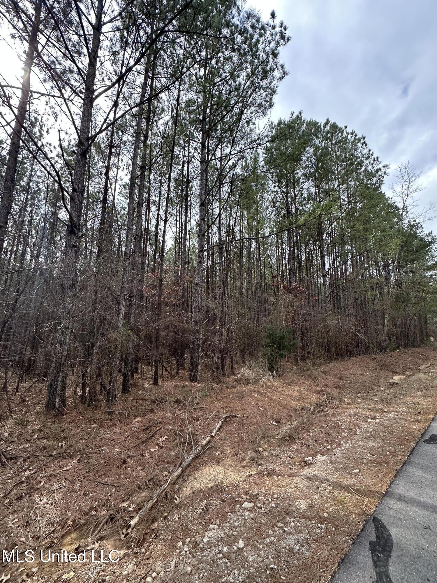 2414 Co Road Newton, MS 39345 - Photo 42 of 51 IMG_3206