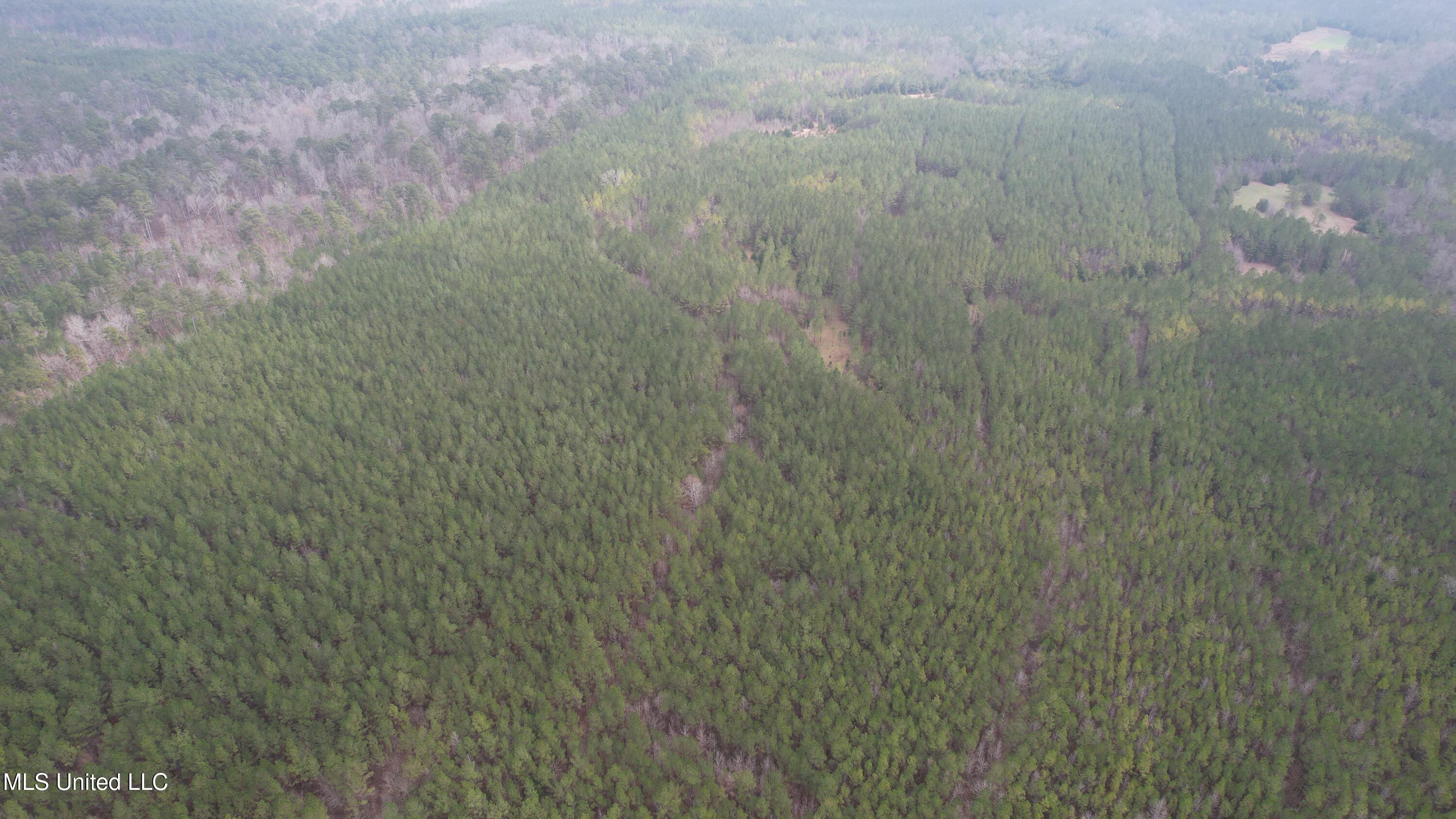 2414 Co Road Newton, MS 39345 - Photo 43 of 51 DJI_0735