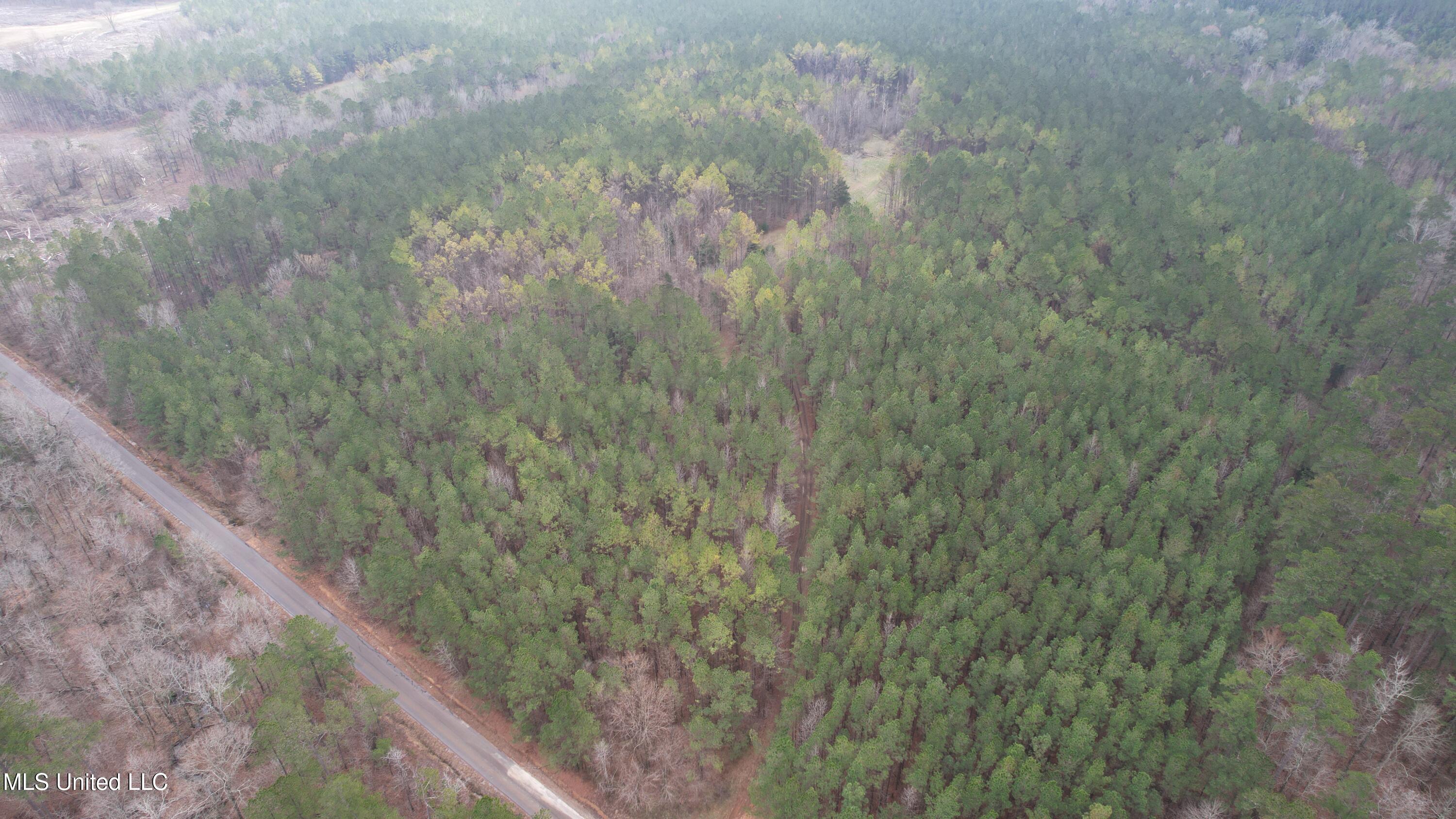 2414 Co Road Newton, MS 39345 - Photo 44 of 51 DJI_0744