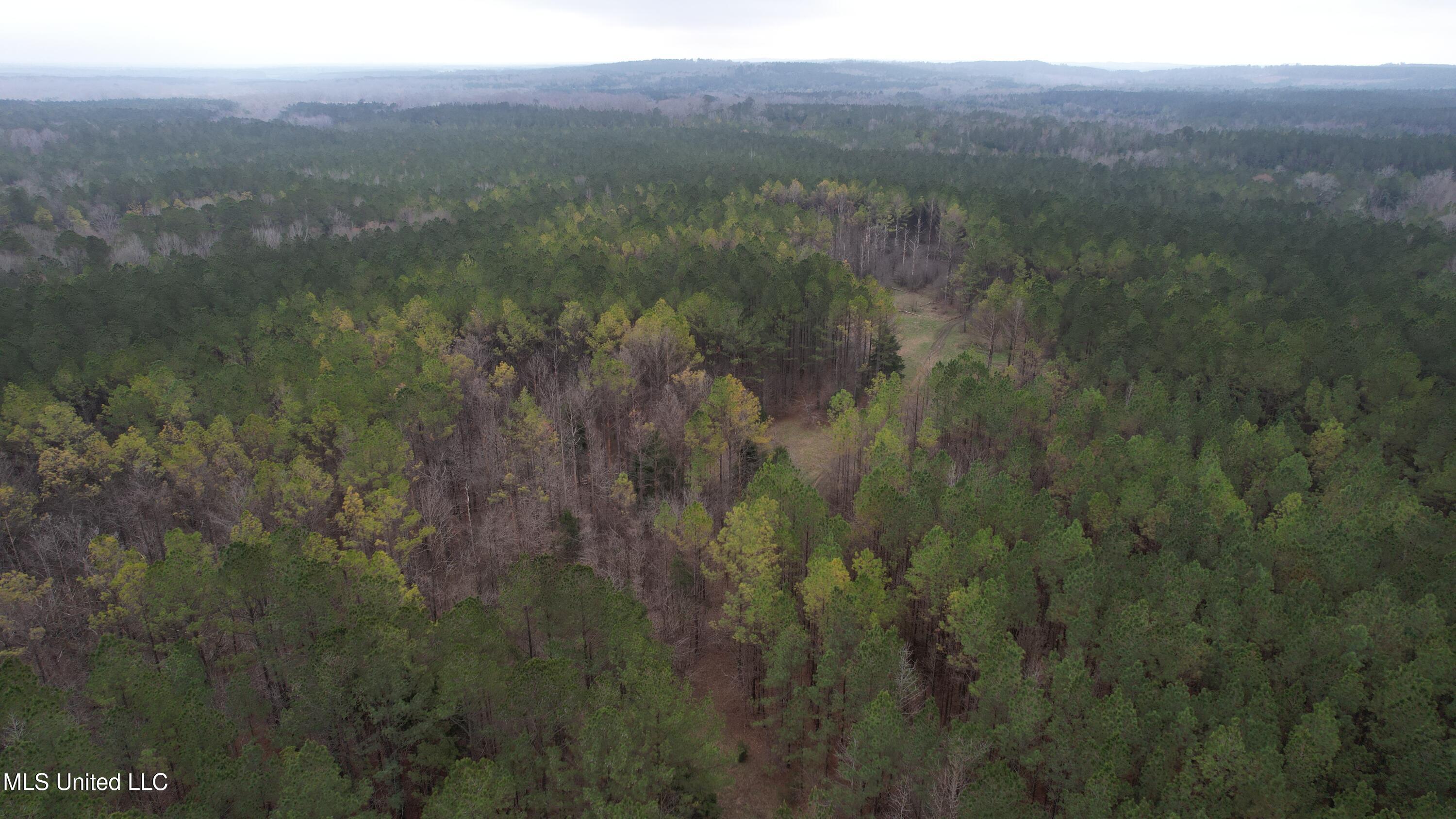 2414 Co Road Newton, MS 39345 - Photo 45 of 51 DJI_0747
