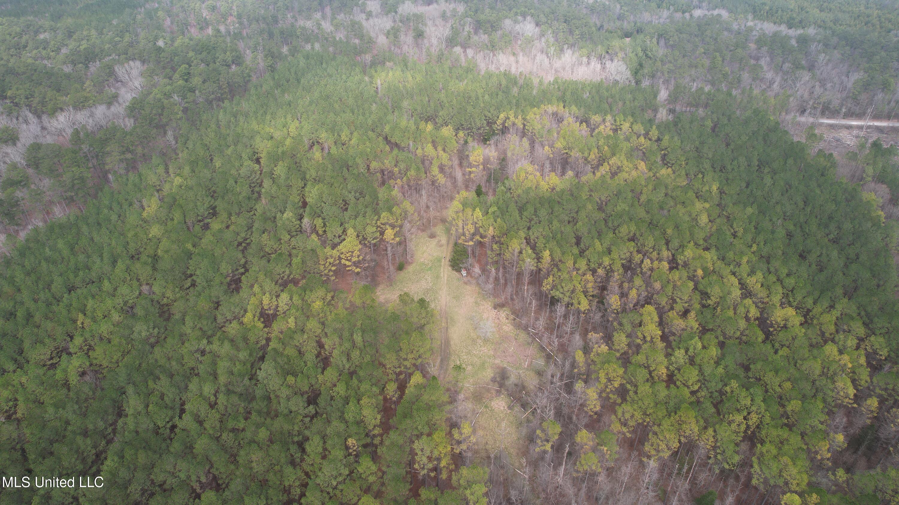 2414 Co Road Newton, MS 39345 - Photo 46 of 51 DJI_0742