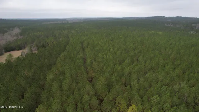 $399,900 | 2414 Co Road, Newton, MS 39345