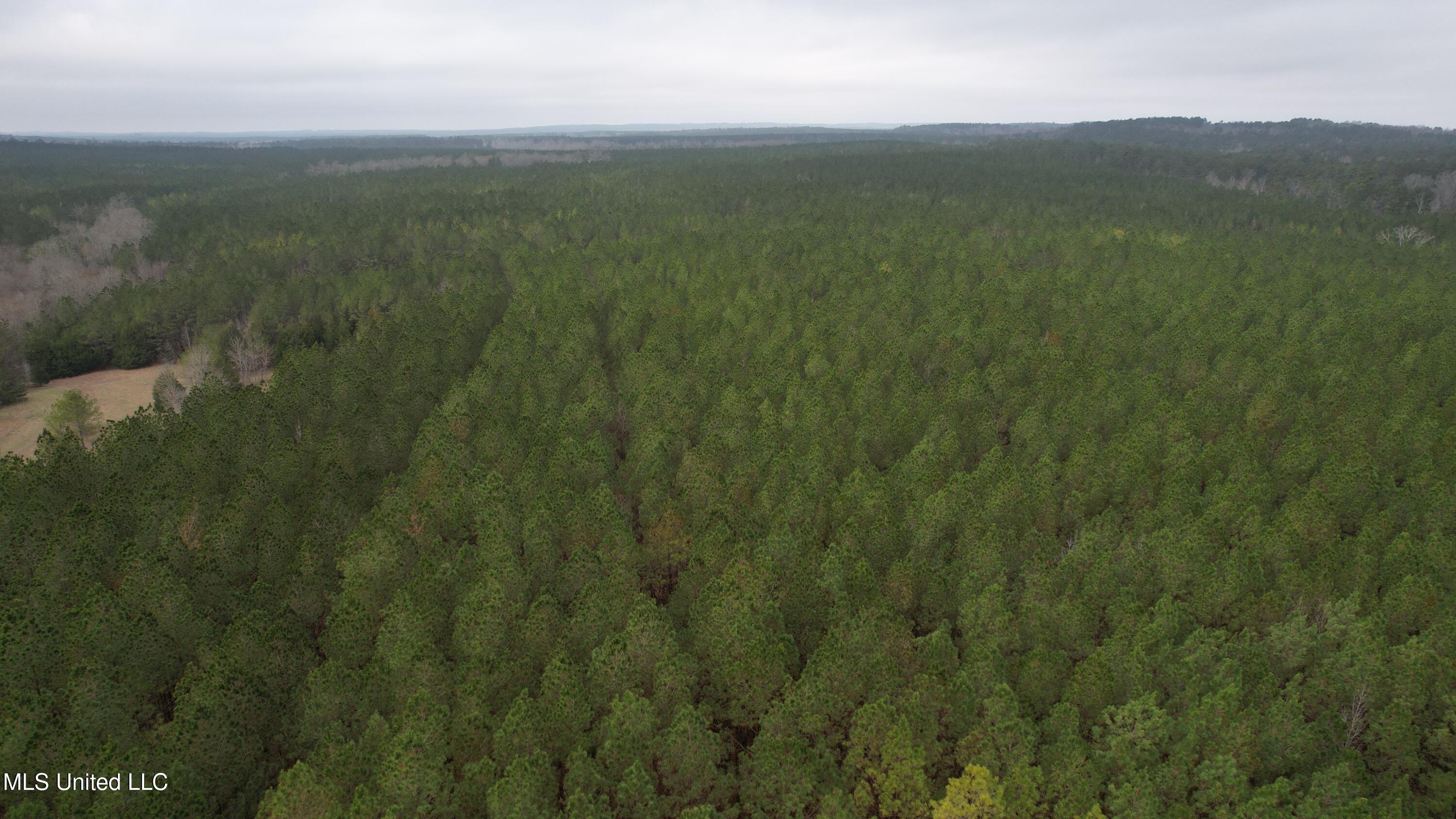 2414 Co Road Newton, MS 39345 - Photo 47 of 51 DJI_0732