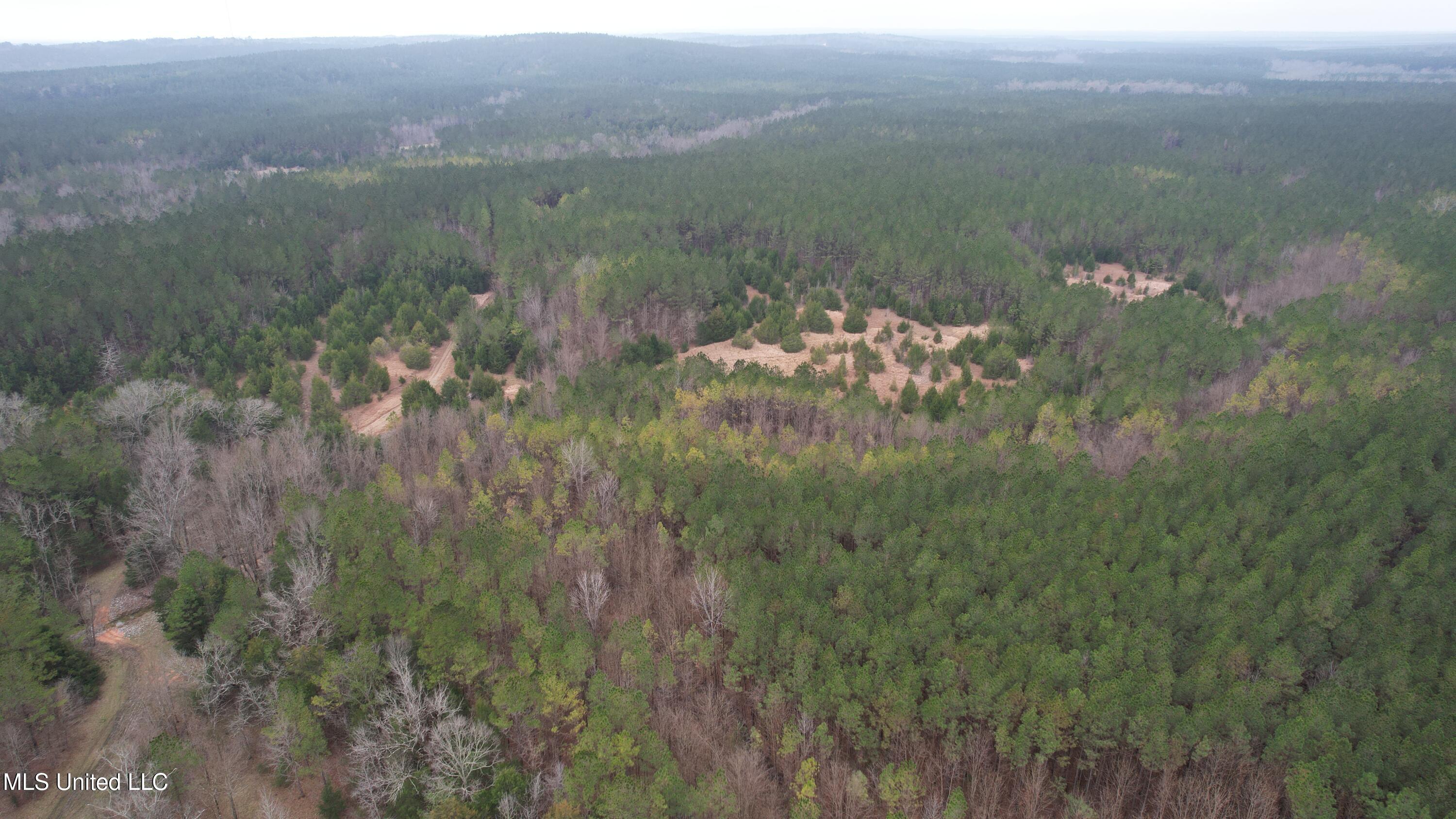 2414 Co Road Newton, MS 39345 - Photo 48 of 51 DJI_0728