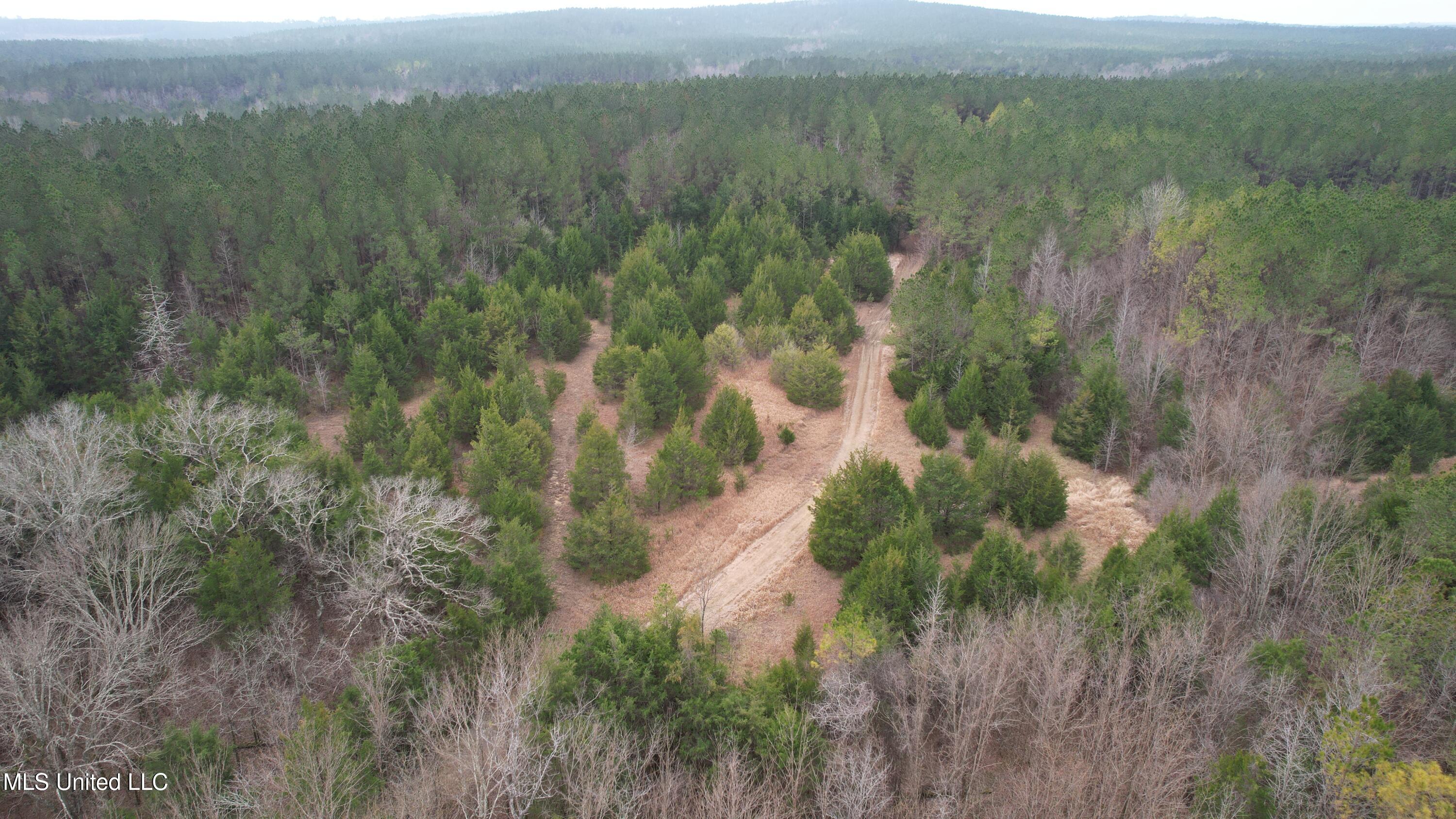 2414 Co Road Newton, MS 39345 - Photo 49 of 51 DJI_0729
