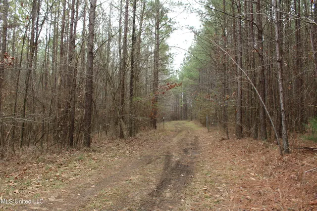 $399,900 | 2414 Co Road, Newton, MS 39345