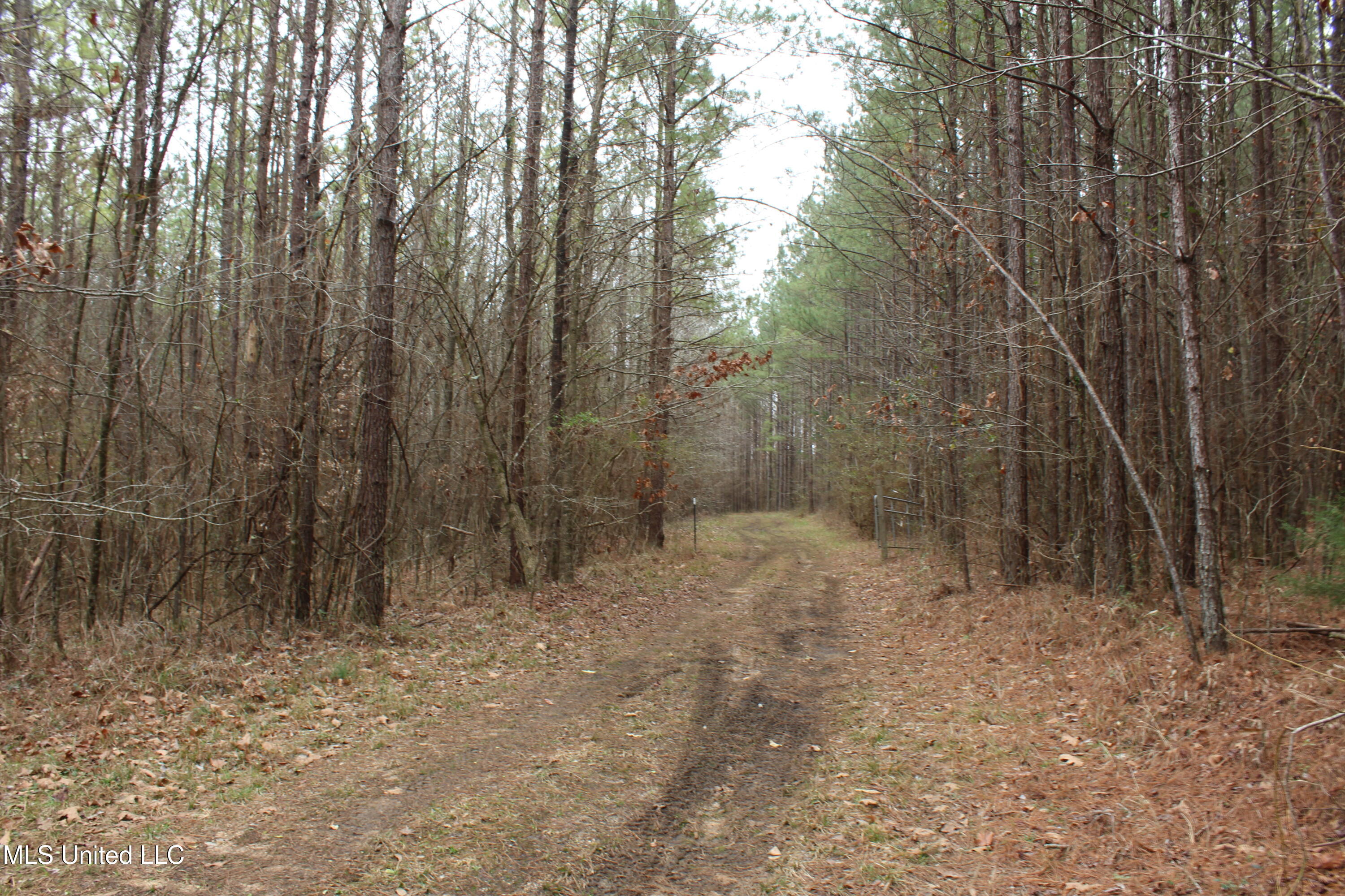 2414 Co Road Newton, MS 39345 - Photo 7 of 51 IMG_9149