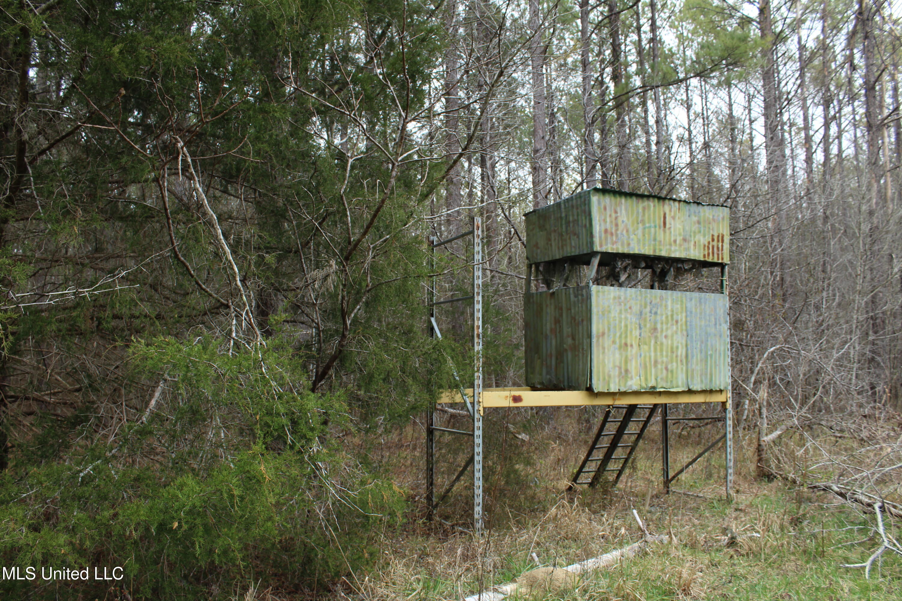 2414 Co Road Newton, MS 39345 - Photo 8 of 51 IMG_9156