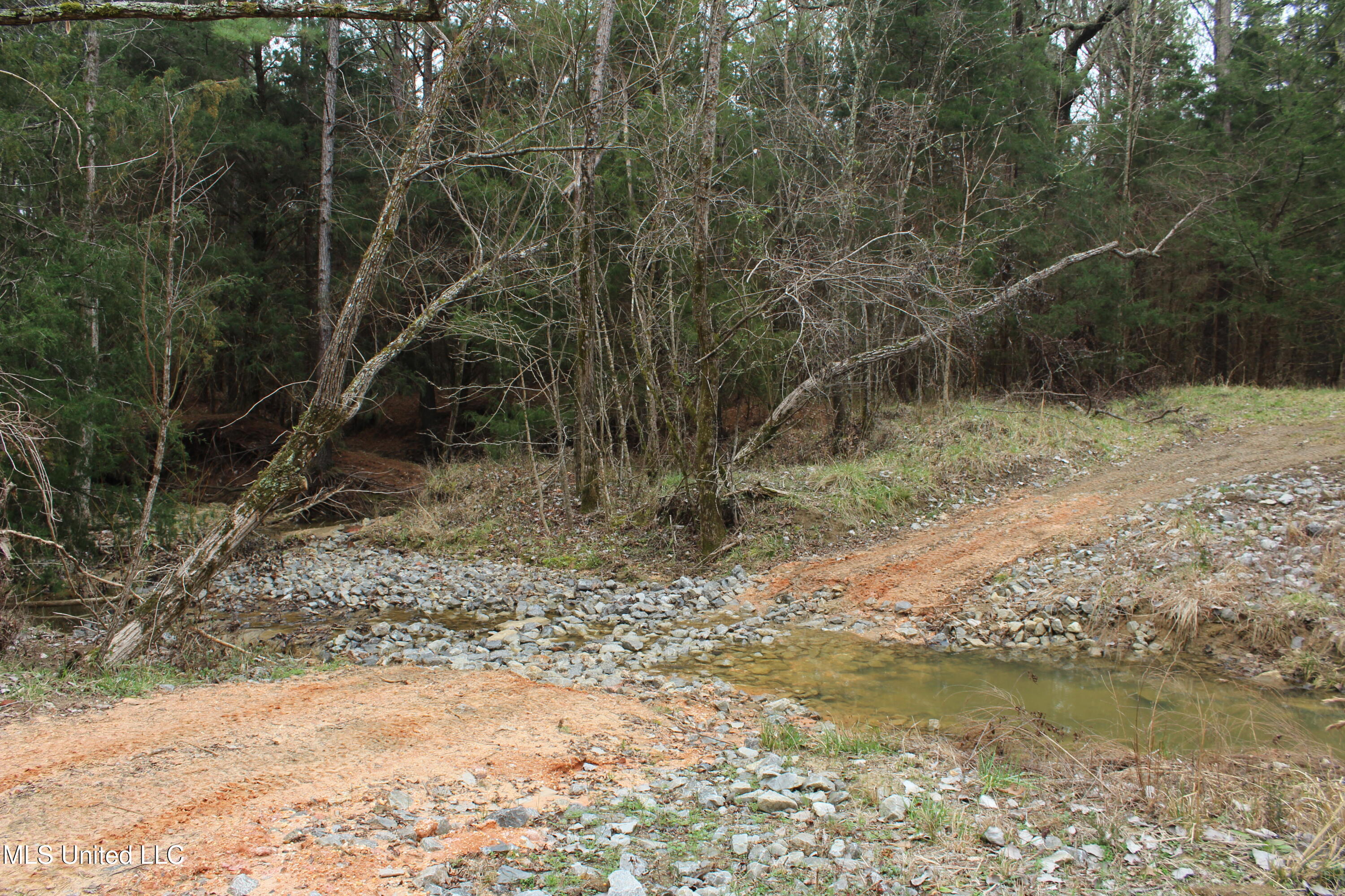 2414 Co Road Newton, MS 39345 - Photo 9 of 51 IMG_9171