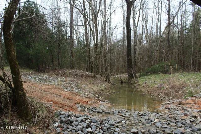 $399,900 | 2414 Co Road, Newton, MS 39345