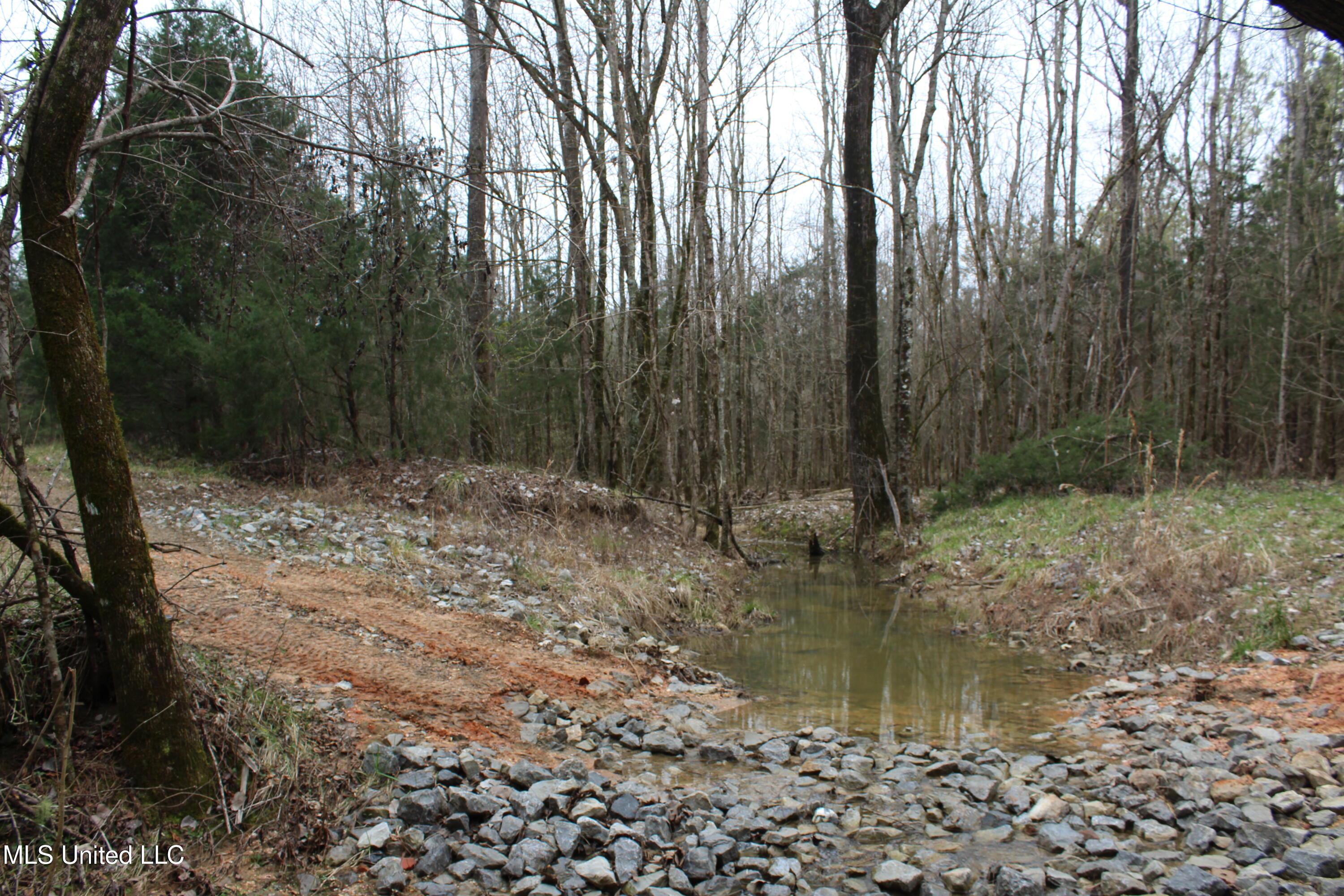2414 Co Road Newton, MS 39345 - Photo 10 of 51 IMG_9172