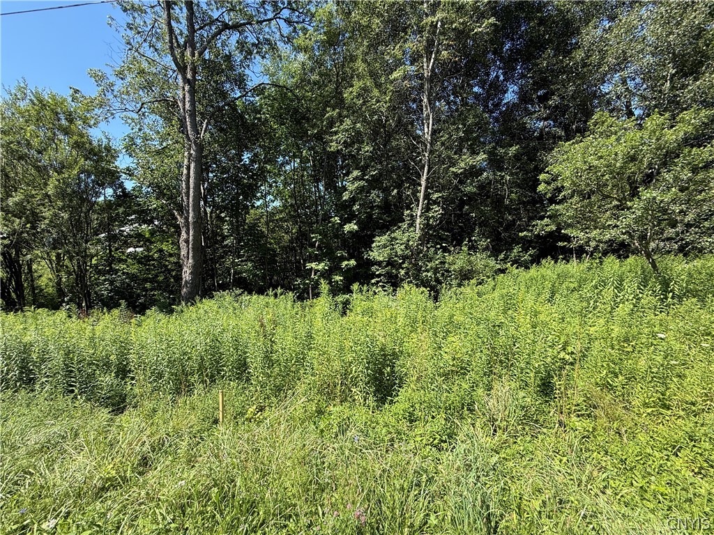 French Settlement Road Lorraine, NY 13659 - Photo 13 of 15 Gallery Image 13