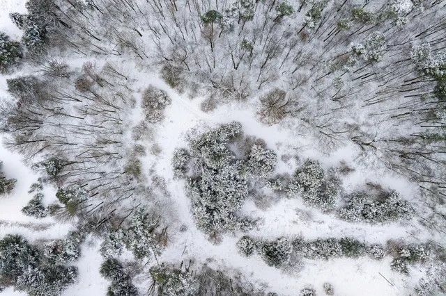 $439,000 | 1115 Hamilton Road, Battle Creek, MI 49017