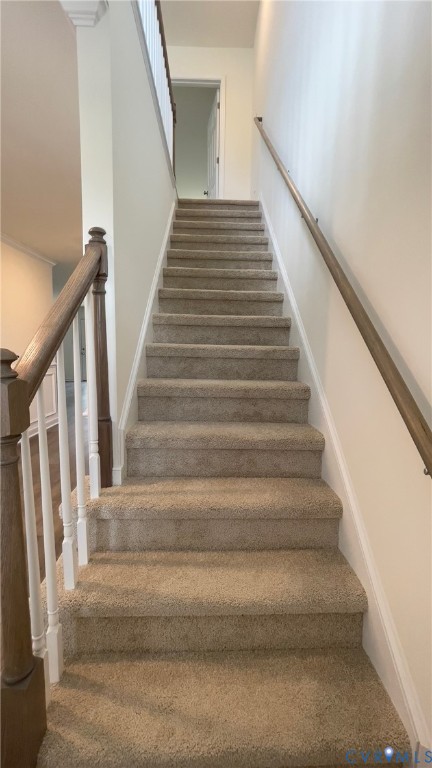 4944 Bailey Woods Lane Midlothian, VA 23112 - Photo 28 of 50