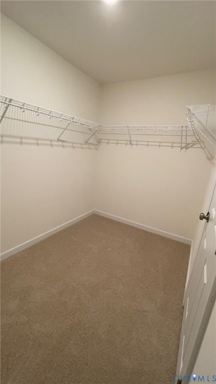 4944 Bailey Woods Lane Midlothian, VA 23112 - Photo 43 of 50 a view of a room with racks on the wall