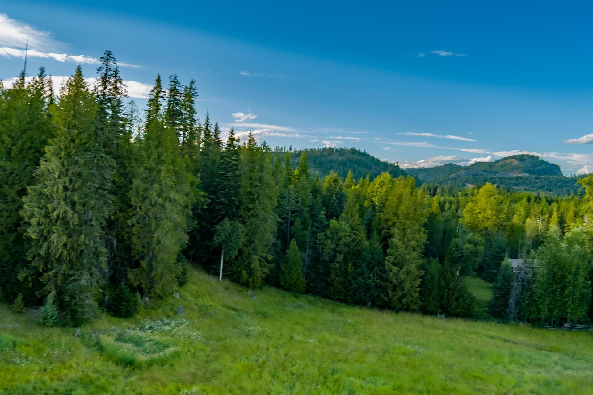 1873 Greenhouse Road Ione, WA 99139 - Photo 41 of 41 Gallery Image 41
