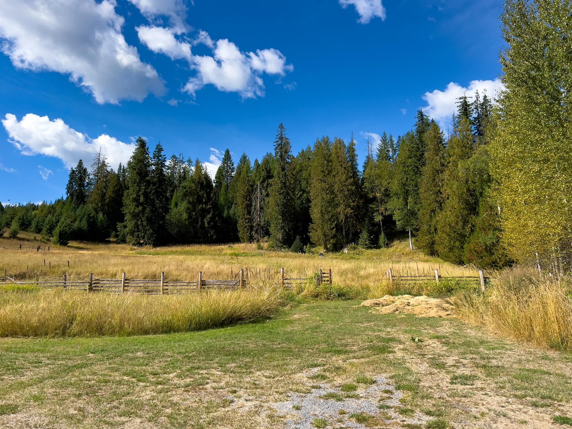 1873 Greenhouse Road Ione, WA 99139 - Photo 8 of 41 Gallery Image 8