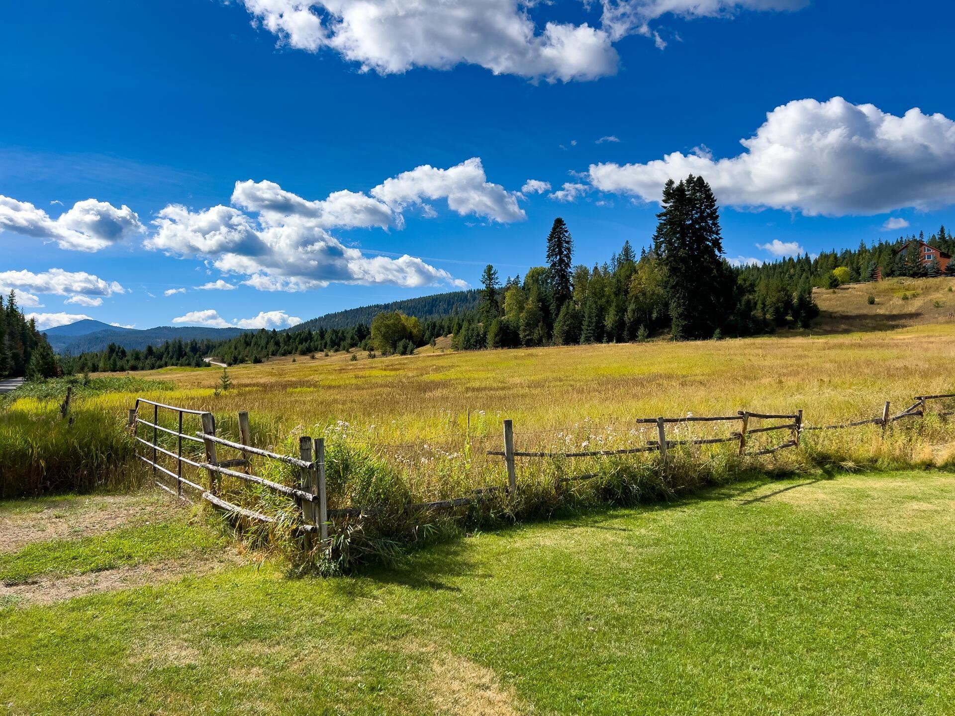 1873 Greenhouse Road Ione, WA 99139 - Photo 9 of 41 Gallery Image 9