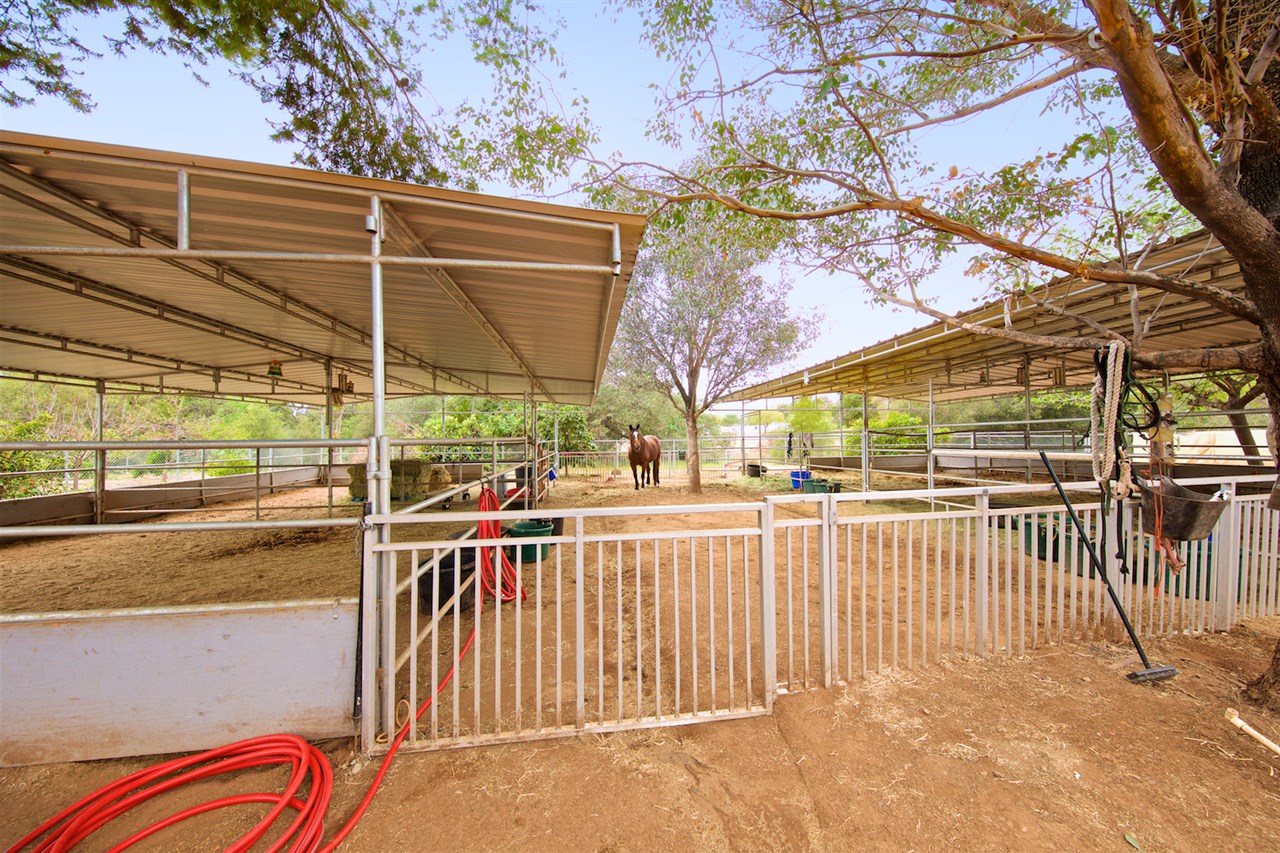 16742 Wikiup Road Ramona, CA 92065 - Photo 21 of 25 Room for 4!