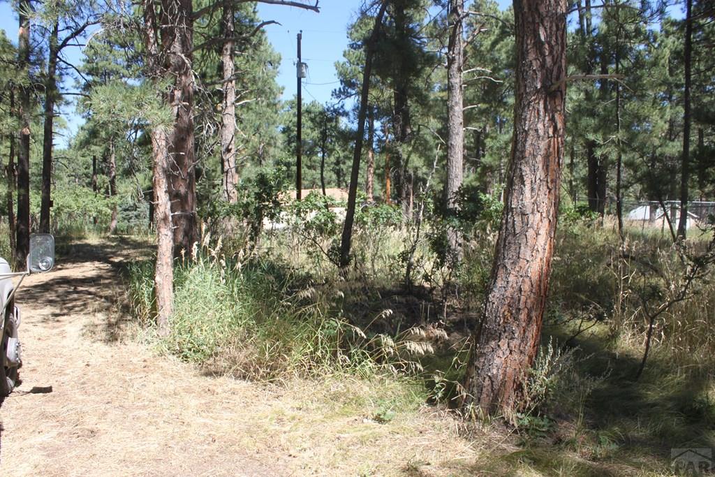 0 Green Tower Lane Rye, CO 81069 - Photo 22 of 24