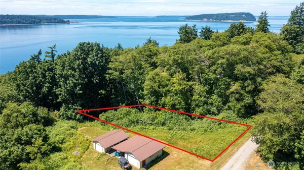 a view of a backyard with plants and lake view