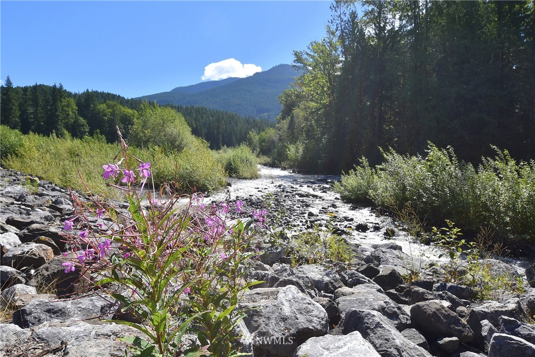 15031 Welcome Road Glacier, WA 98244 - Photo 19 of 21 Gallery Image 19