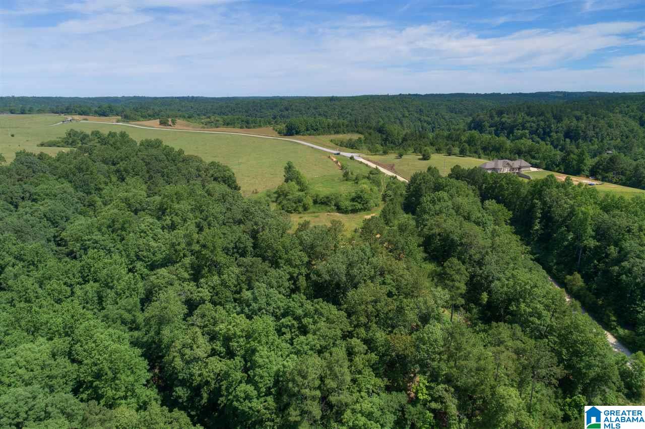 0 Ridge Drive, Unit 58 PART 54 & BOAT RAMP Arley, AL 35541 - Photo 10 of 27