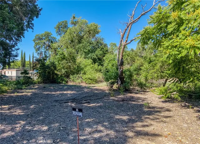 a view of a yard with a tree