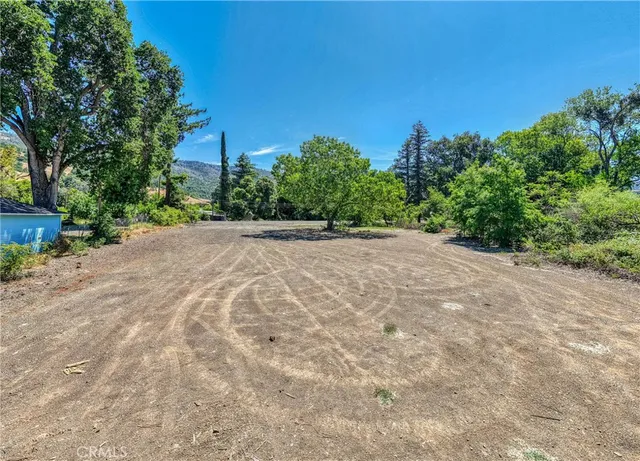 a view of a field with trees in the background