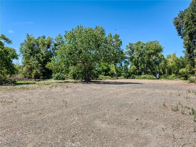 a view of a field with trees in background