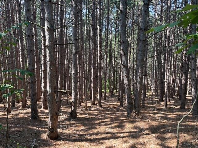 Erdt Road Suttons Bay, MI 49682 - Photo 10 of 36 Gallery Image 10