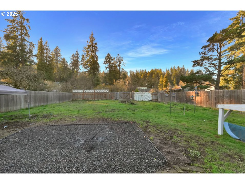 1652 Augusta Alley Eugene, OR 97403 - Photo 3 of 10 a backyard of a house with lots of green space