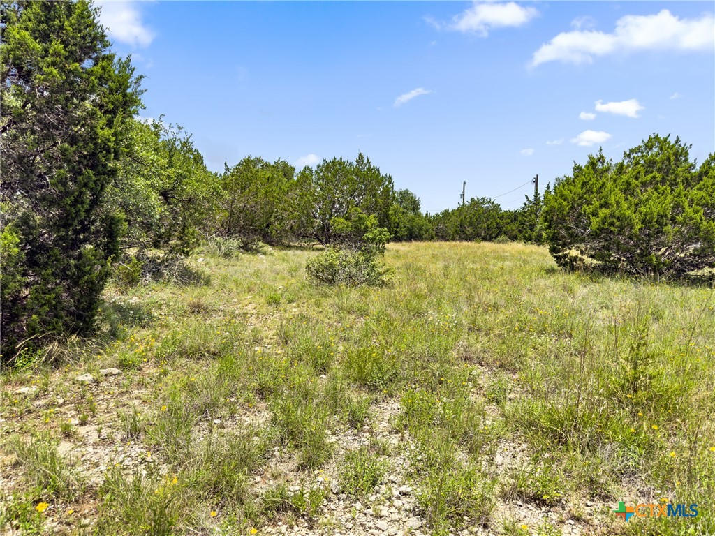 141 Vista View Place Spring Branch, TX 78070 - Photo 15 of 32
