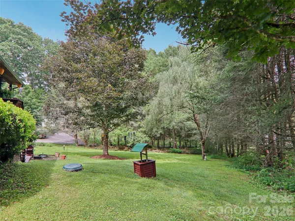 a garden view