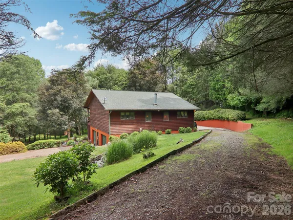 a view of a garden with a tree