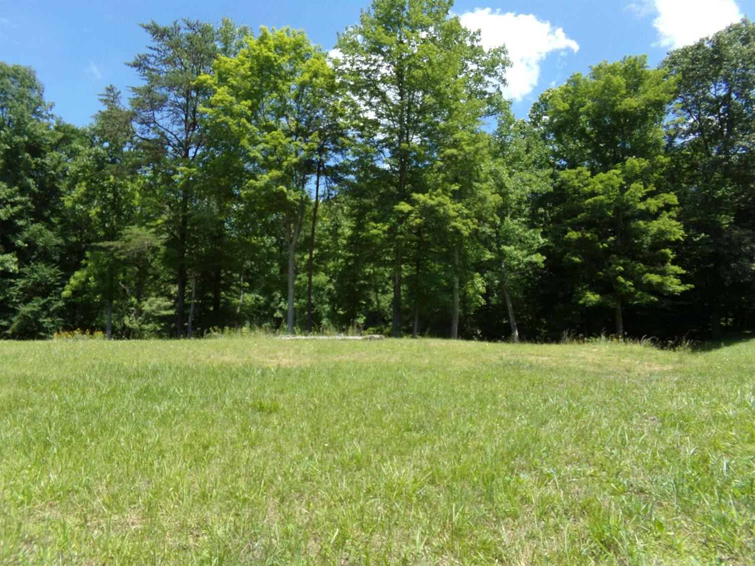 3333 Pinetable Road Means, KY 40346 - Photo 10 of 38 Photo 10