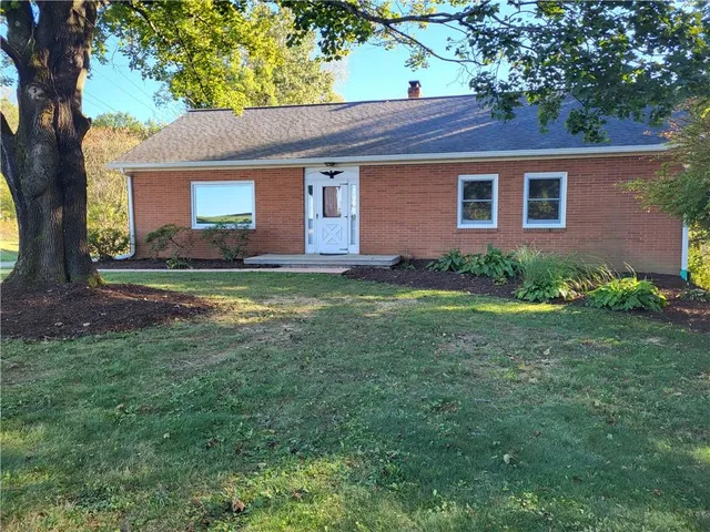 a view of a yard in front of a house with plants and large tree