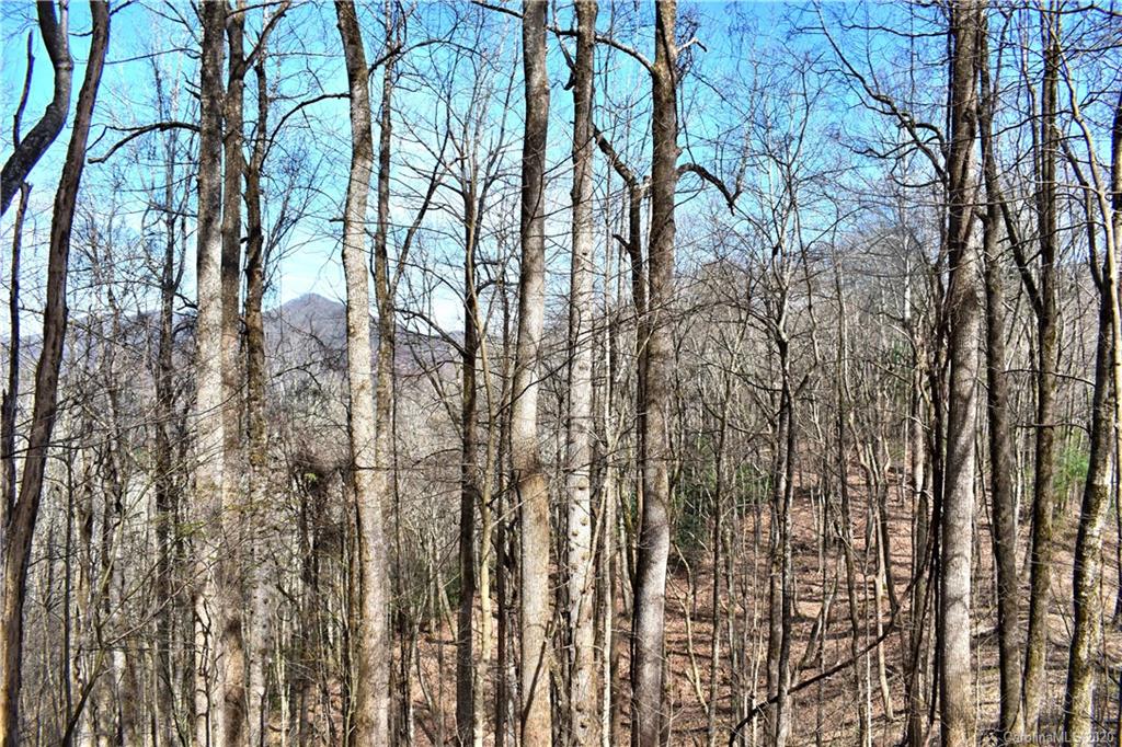 0 Spillcorn Road Marshall, NC 28753 - Photo 22 of 48 Gallery Image 22
