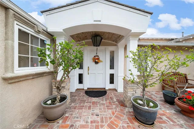 a potted plant sitting on the side of a building
