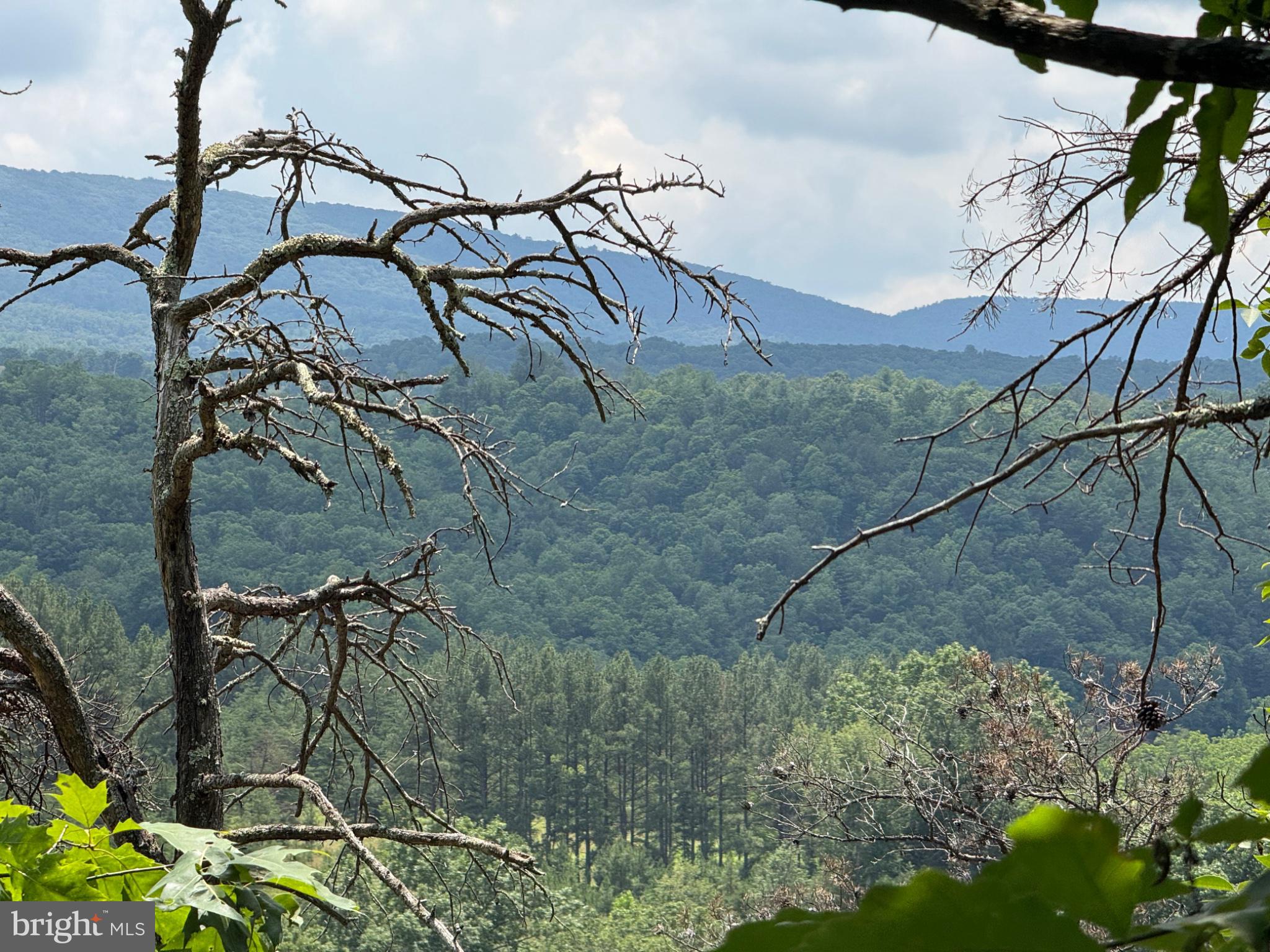 Ginevan Road Paw Paw, WV 25434 - Photo 6 of 15 Gallery Image 6