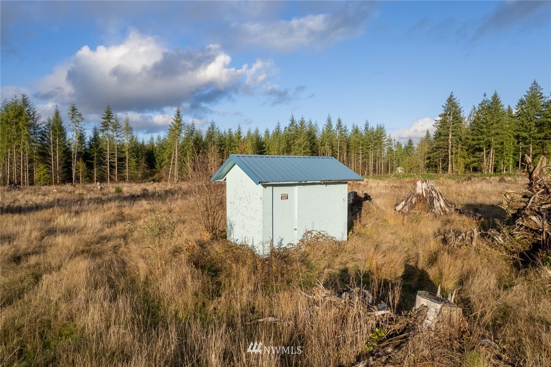 250 Burchett Road Onalaska, WA 98570 - Photo 7 of 7 Gallery Image 7