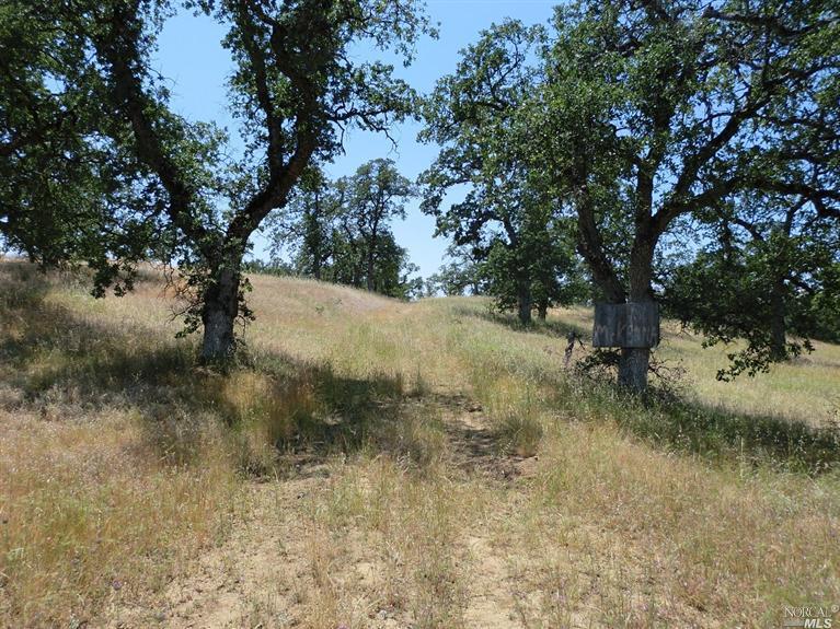 0 Lot 238 Fiddlers Road Igo, CA 96047 - Photo 1 of 1 a view of outdoor space and yard
