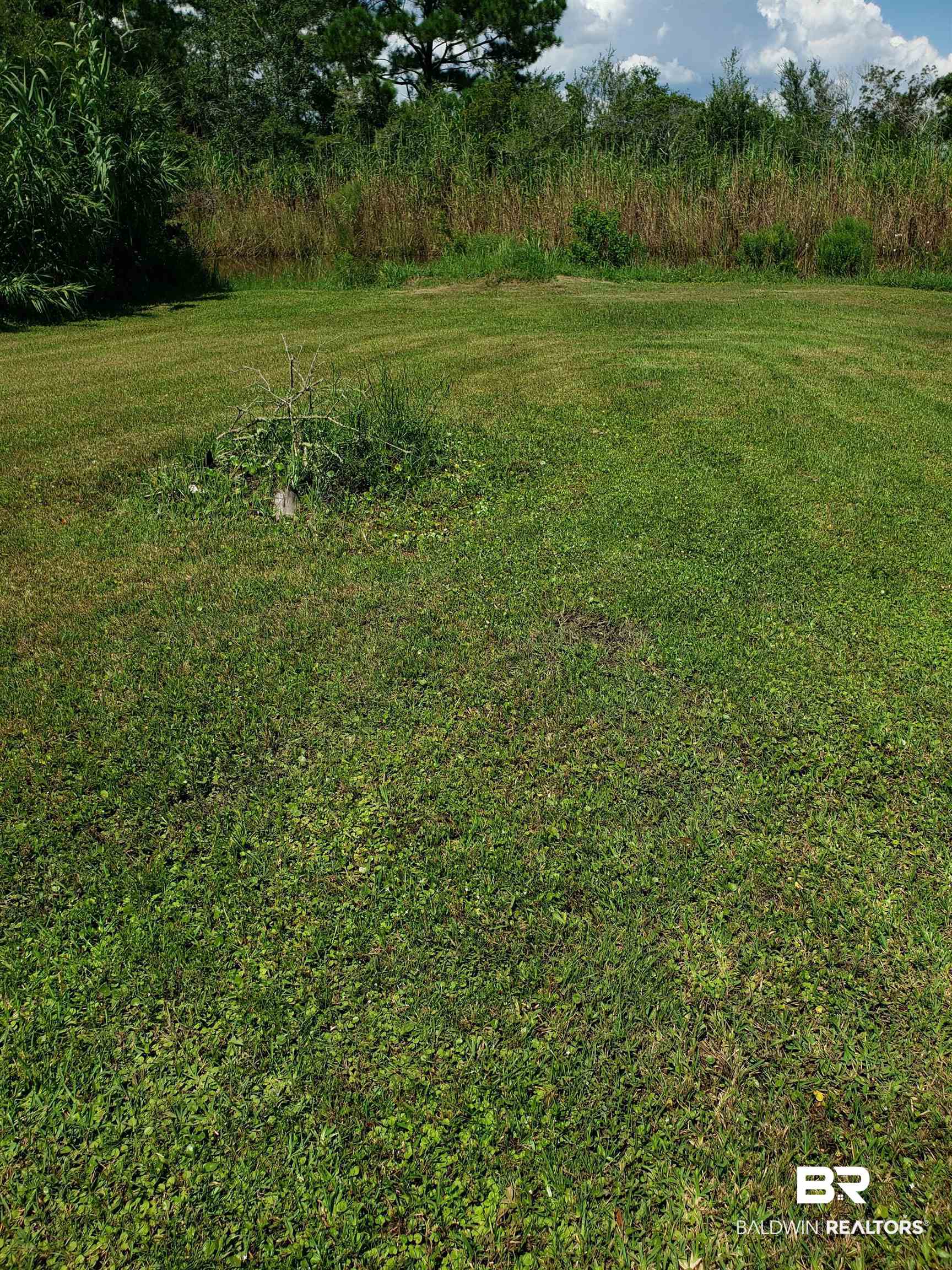 2712 Renee Drive Theodore, AL 36582 - Photo 4 of 9