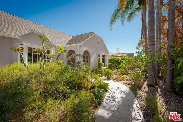 a view of a yard with plants
